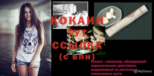 спайс Алексин