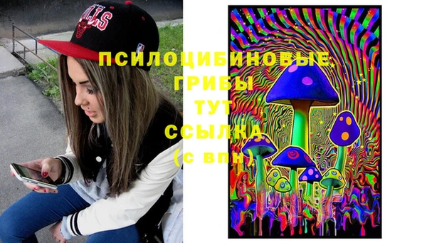 спайс Алексин