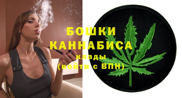 индика Инсар